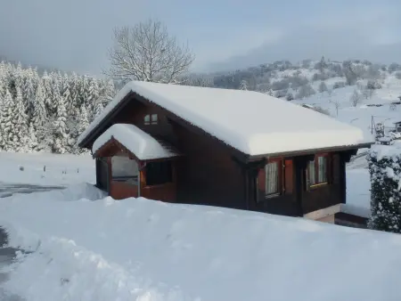 Chalet familial à La Bresse, proche randonnées, WIFI, animaux admis - Photo 18