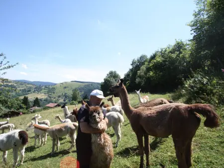 Chalet familial à La Bresse, proche randonnées, WIFI, animaux admis - Photo 22