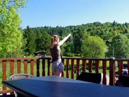 Chalet familial à La Bresse, proche randonnées, WIFI, animaux admis - Photo 23