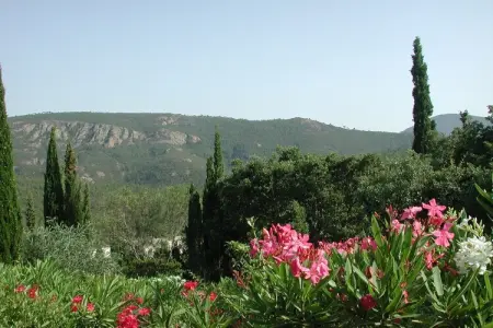 Appartement dans Villa Mandelieu la Napoule, Bel appartement près de la Bretagne - Photo 3