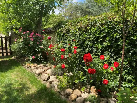 Maison années 30 avec jardin, piscine, proximité Loire, 4 chambres, vélos, idéale familles/amis - Photo 13