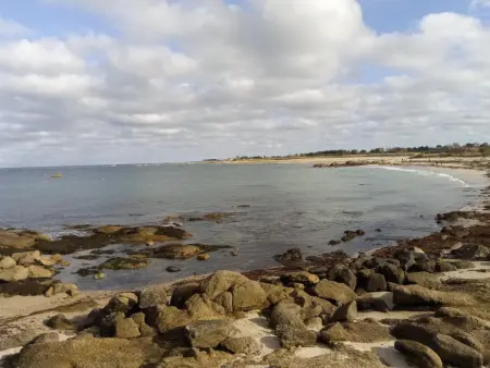 Maisonnette cosy, jardin clos, terrasse, proche plage et mer, animaux acceptés - Photo 19