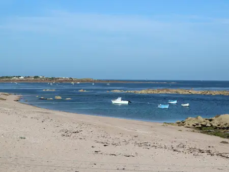 Maisonnette cosy, jardin clos, terrasse, proche plage et mer, animaux acceptés - Photo 20