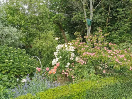 Maison de charme à La Hague avec jardin clos, Gite 5 personnes à La Hague - Photo 21