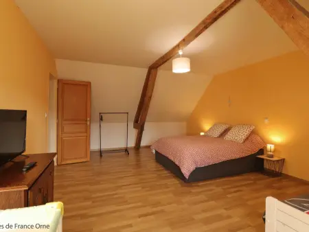 Maison lumineuse avec jardin clos, spa, proche du Perche - Photo 20