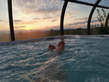 Gîte de luxe avec spa, sauna et piscine, animaux admis - Photo 8