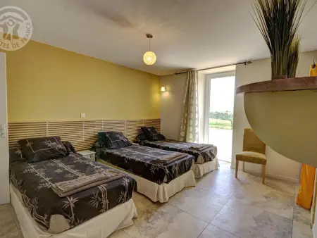 Gîte de luxe avec spa, sauna et piscine, animaux admis - Photo 17