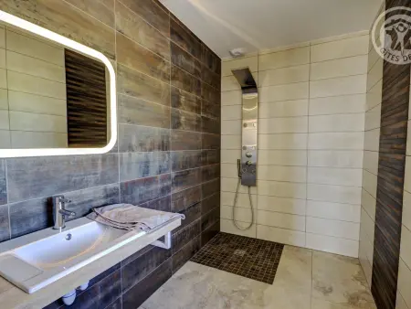 Gîte de luxe avec spa, sauna et piscine, animaux admis - Photo 18