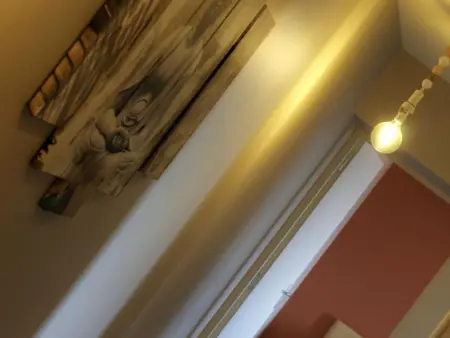 Gîte de luxe avec spa, sauna et piscine, animaux admis - Photo 19