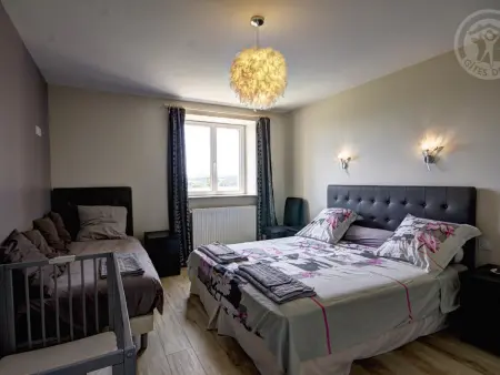 Gîte de luxe avec spa, sauna et piscine, animaux admis - Photo 23