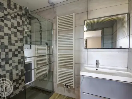 Gîte de luxe avec spa, sauna et piscine, animaux admis - Photo 25