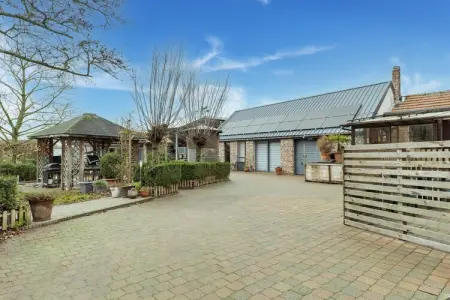 Leenhaag, Maison Zoutleeuw avec piscine - Photo 27