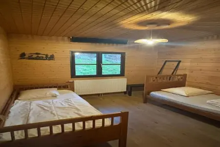 Blue Wood, Chalet dans les bois avec bain nordique - Photo 16
