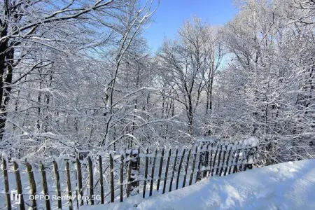Blue Wood, Chalet dans les bois avec bain nordique - Photo 25
