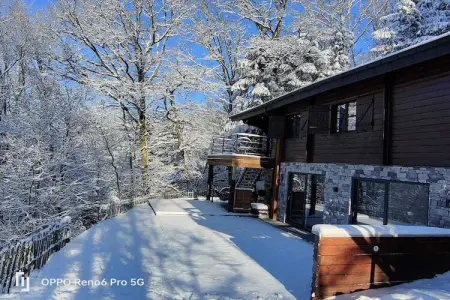 Blue Wood, Chalet dans les bois avec bain nordique - Photo 29