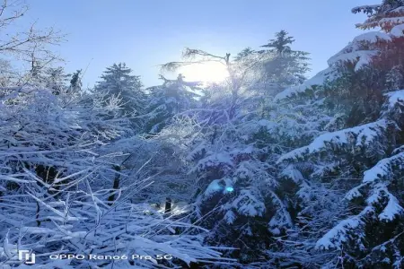 Blue Wood, Chalet dans les bois avec bain nordique - Photo 31