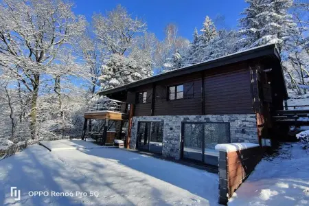 Blue Wood, Chalet dans les bois avec bain nordique - Photo 32