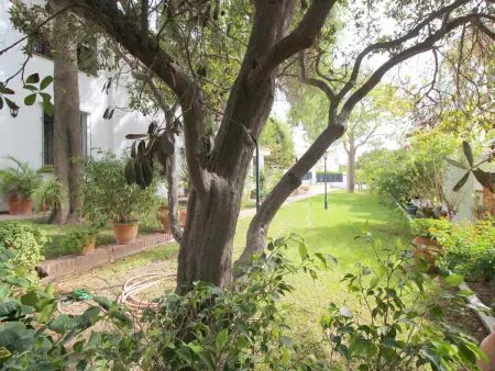 Villa de Luxe avec Piscine, Jardins et Proche Plage à Vélez-Málaga - Photo 4