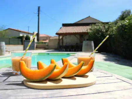 Printemps, Maison de maître avec piscine privée à Olonzac - Photo 4