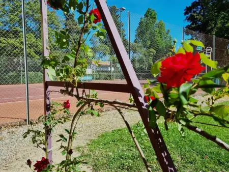 Printemps, Maison de maître avec piscine privée à Olonzac - Photo 26