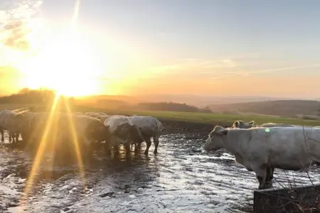 La ferme de Filot, Maison en pierre à Hamoir avec piscine privée - Photo 36