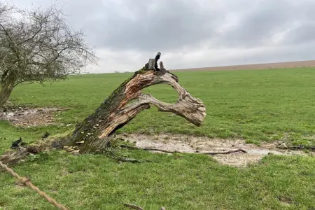 La ferme de Filot, Maison en pierre à Hamoir avec piscine privée - Photo 45