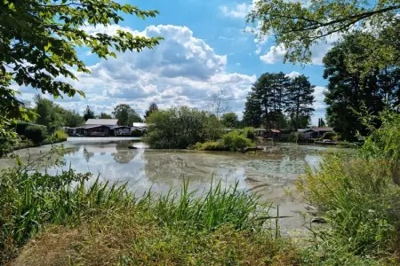 Casita La Luna, Chalet situé au calme à Geel avec jardin - Photo 18