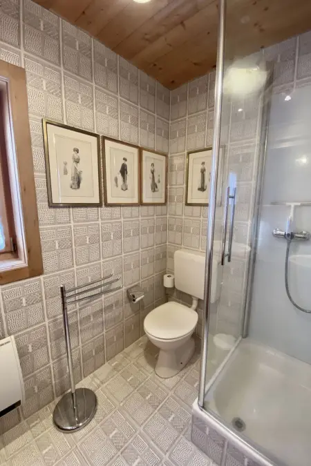 Chalet Rodas 9, Chalet 8 personnes à Savognin - Photo 25