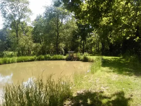 Gîte familial au cœur du parc de La Brenne avec étang privé, cheminée, Wi-Fi et animaux acceptés - Photo 5