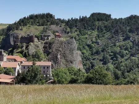 Gîte moderne à Arlempdes: spa, terrasse, grands espaces et visites culturelles - Photo 25