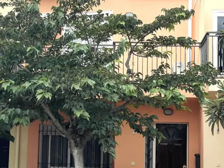 Maison Centre-Ville, Clim, Wifi, Parking, Maison 6 personnes à Sant Pere Pescador - Photo 26