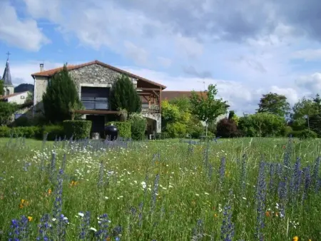 Gîte familial avec terrasse panoramique et cheminée, idéal pour randonnées près de Retournac - Photo 14