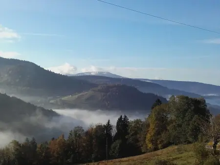 Charmant studio dans ferme avec terrasse et parking - montagnes des Vosges - Photo 3