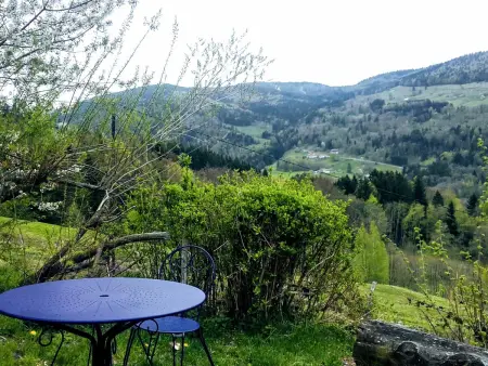 Charmant studio dans ferme avec terrasse et parking - montagnes des Vosges - Photo 15