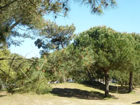 Appartement Calme Proche Plage avec Terrasse Sud, Parking Sécurisé et Équipements Complets - Photo 10