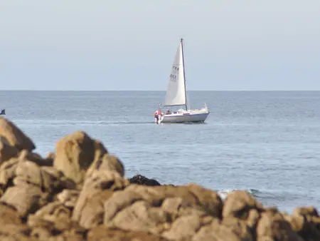 Appartements à Piriac-sur-Mer, plage, wifi, animaux acceptés - Photo 11