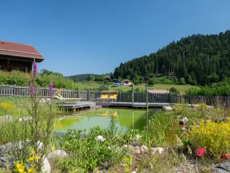 Chalet cosy avec sauna, piscine bio, proche lac et ski à Gérardmer - Photo 10