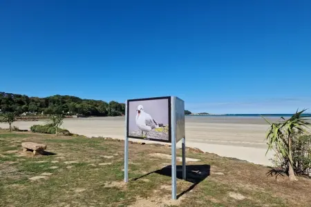 Maison de vacances Ploumilliau, Séjournez à Brittany House by St Michel - Photo 25