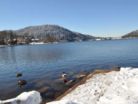 Appartement chaleureux avec garage & balcon au cœur de Gérardmer, proche lac & pistes - Photo 27