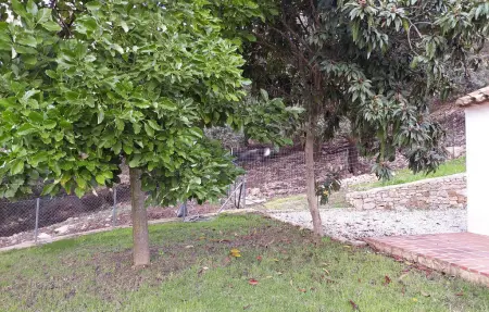 Maison 5 personnes à Algatocin - Photo 10