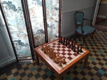 Maison familiale près du Zoo de la Flèche avec piscine chauffée, jardin et cheminée - Photo 6