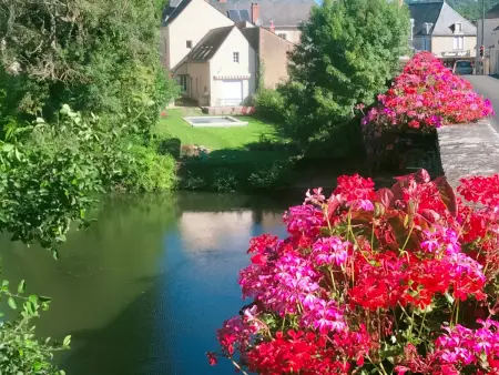 Maison familiale près du Zoo de la Flèche avec piscine chauffée, jardin et cheminée - Photo 21