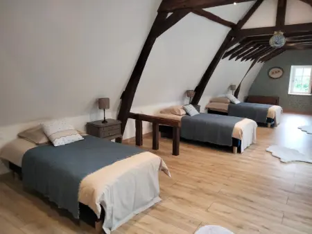 Maison familiale près du Zoo de la Flèche avec piscine chauffée, jardin et cheminée - Photo 29