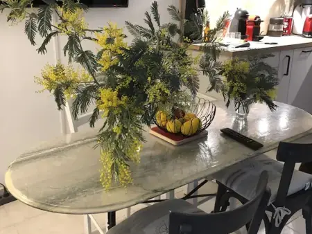 Studio rénové à deux pas de la plage des Lutins - Terrasse privée, parking et animaux acceptés - Photo 6