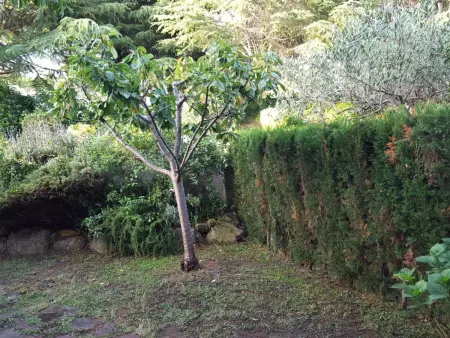 Villa mitoyenne 6 pers. avec jardin, piscine et barbecue, à quelques mètres de la plage à S'Agaró - Photo 16