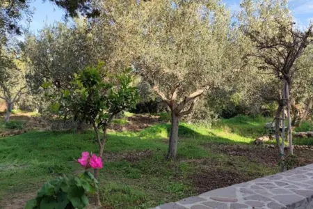 Casa basalto uliveto, Casa su Rimediu à Orosei avec un jardin - Photo 14