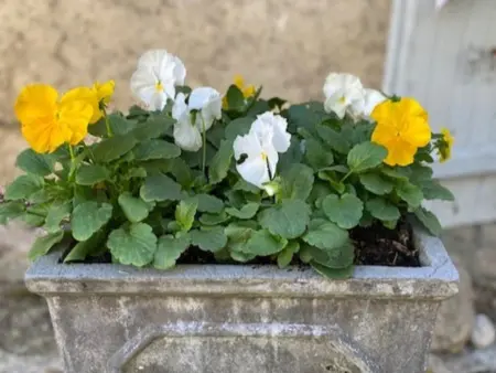 Gite La Folie, Gîte confortable avec terrasse et piscine - Photo 13