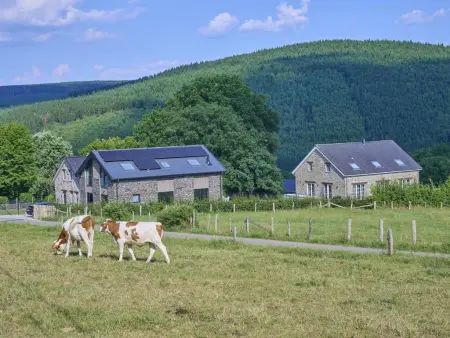 Bra de Pierre, Maison de groupe avec cheminée et jardin - Photo 39