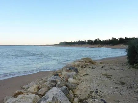 Maison près plage La Rémigeasse avec jardinet, Maison 5 personnes à Dolus d'Oléron - Photo 11