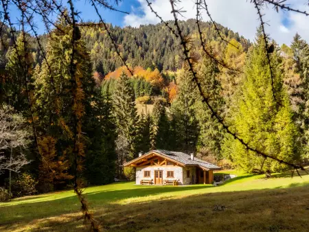 Baita Valon Alpine Hideaway, Chalet 6 personnes à Terme di Comano - Photo 4